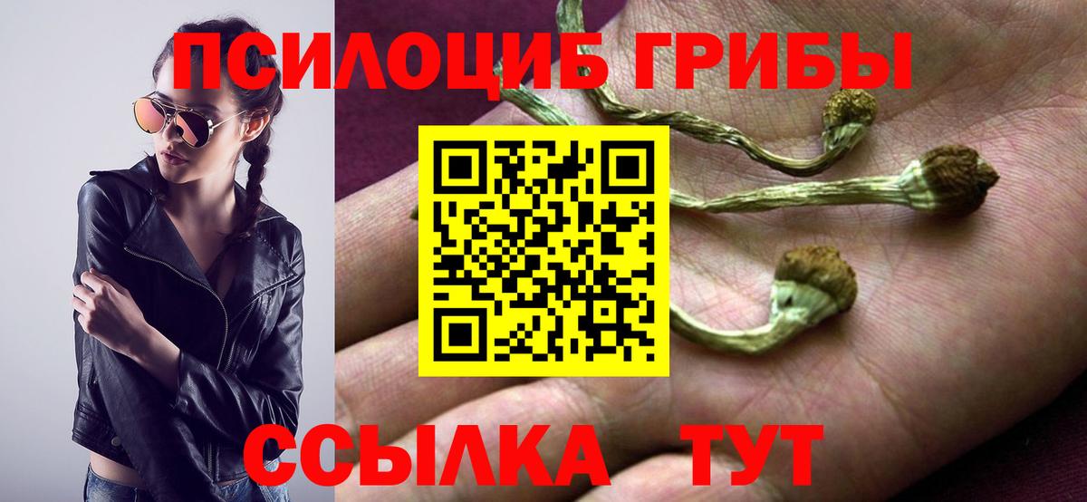 Галлюциногенные грибы Psilocybine cubensis  Вход с VPN  Лиски 